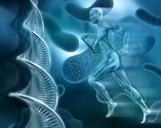 Функции и роли хромосом в организме человека: