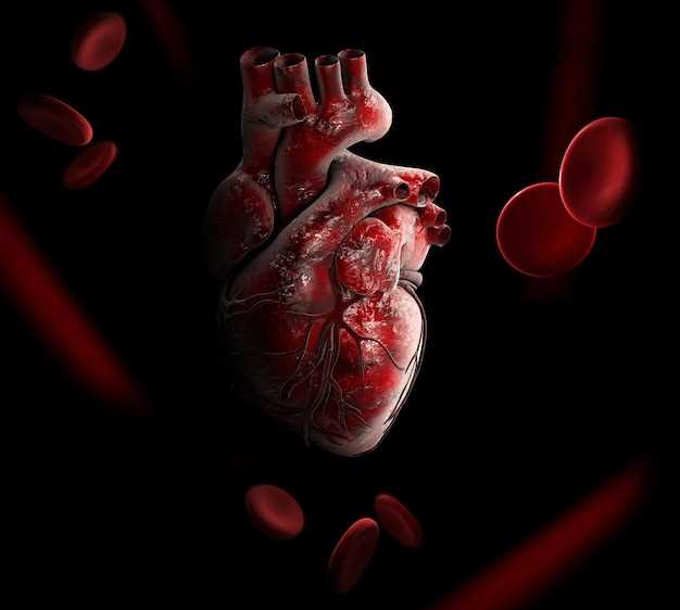 Главная роль сердца в кровообращении