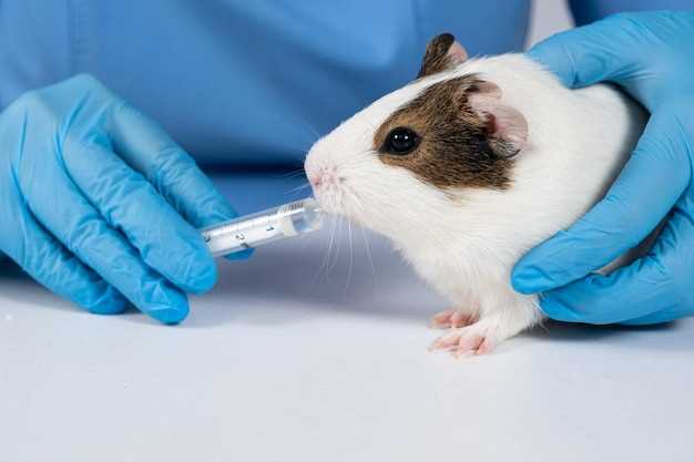 Как производится прививка от мышей